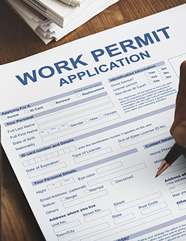 Work Permit